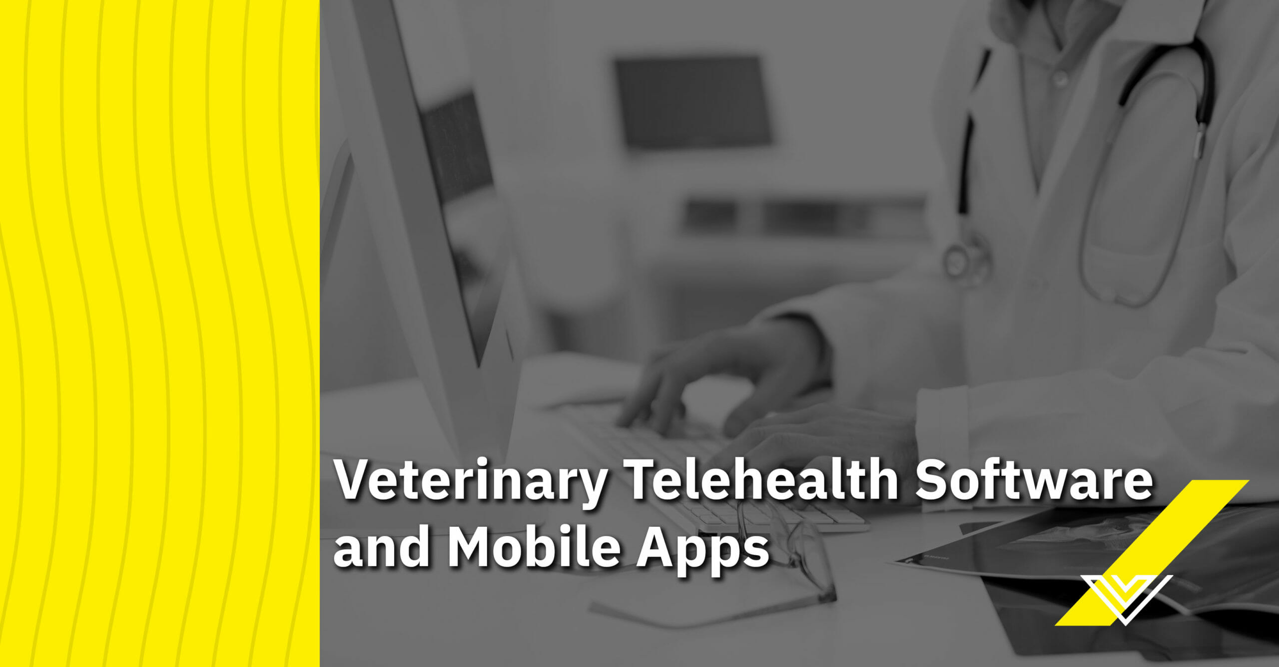 Brilliant 10 Veterinary Telemedicine Solutions