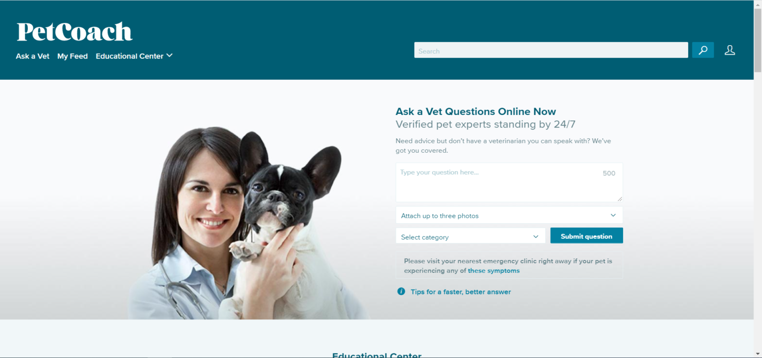 Brilliant 10 Veterinary Telemedicine Solutions