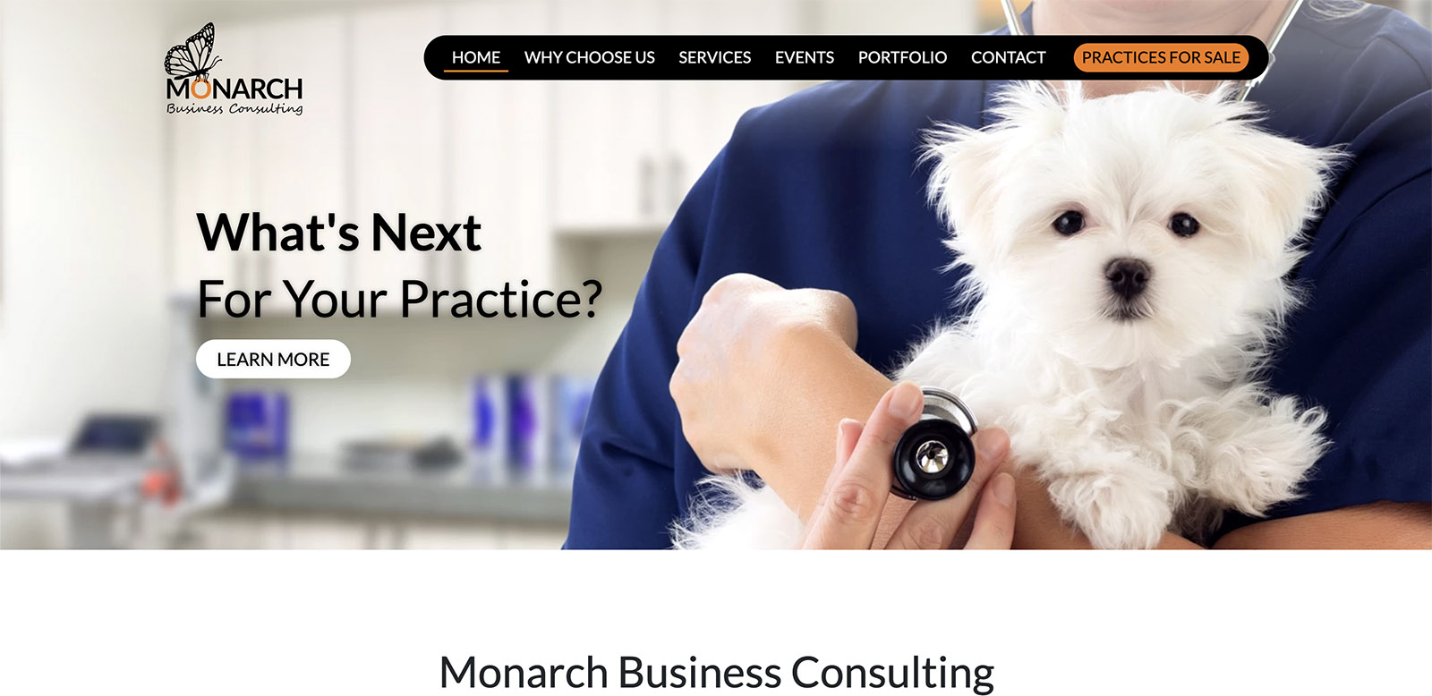 Monarch Business Consulting