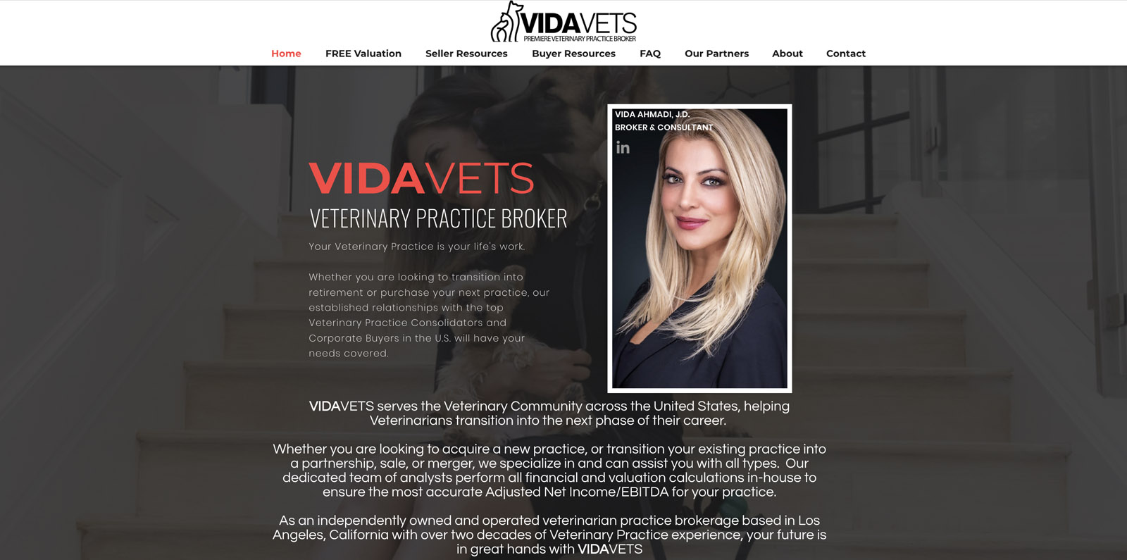 VIDAVETS